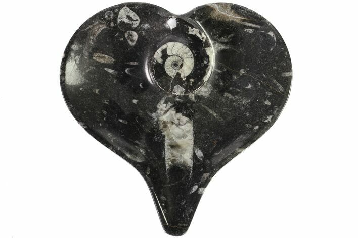 Heart Shaped Fossil Goniatite Dish #77681